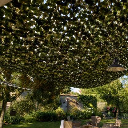 Filet de Camouflage Anti-UV pour Jardin et Pergola